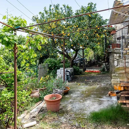 Casa Gian By Interhome Διαμέρισμα Castellaro (Liguria)
